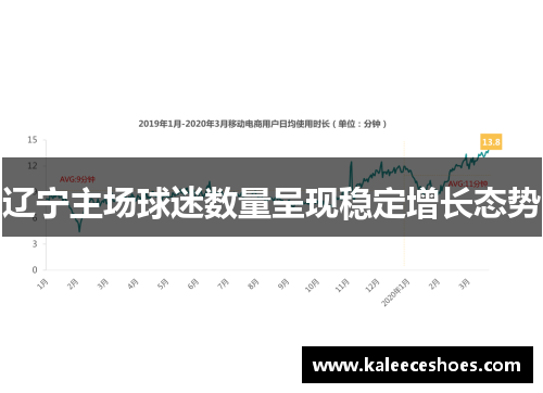 辽宁主场球迷数量呈现稳定增长态势